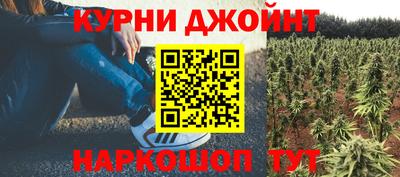 молекула духа Ликино-Дулёво
